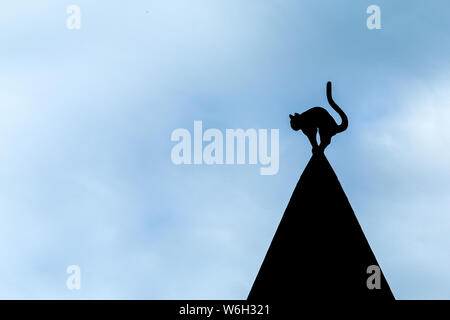 Die Details einer schwarzen Katze auf einem der Häuser in Riga in Lettland gegen die düsteren Himmel. Stockfoto