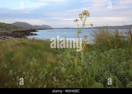 Letzte Licht von East Kilbride, South Uist, Äußere Hebriden, Richtung Ludag und den Causeway nach Eriskay mit machair im Vordergrund, Juli 2019 Stockfoto