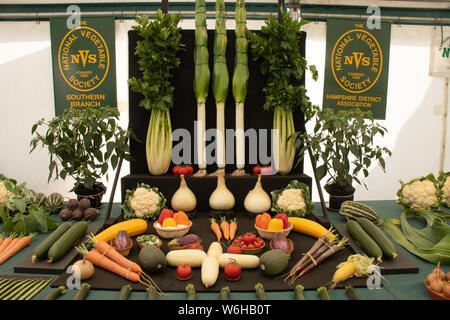 New Forest und Hampshire County Show 2019 - Gemüse zeigen Wettbewerb durch die Nationalen pflanzlichen Gesellschaft Stockfoto