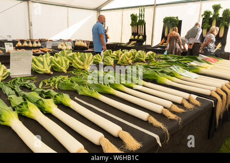 New Forest und Hampshire County Show 2019 - Gemüse zeigen Wettbewerb durch die Nationalen pflanzlichen Gesellschaft - Lauch und Kohl Stockfoto