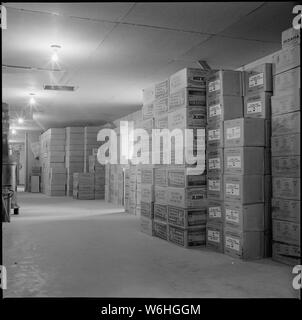 Herz Berg Relocation Center, Heart Mountain, Wyoming. Szene im Lager im Herzen Moun. . .; Umfang und Inhalt: Der vollständige Titel für dieses Foto liest: Herz Berg Relocation Center, Heart Mountain, Wyoming. Szene im Lager im Herzen Berg Krankenhaus, wo Konserven Milch gelagert, zubereitet von Babynahrung, etc. Stockfoto