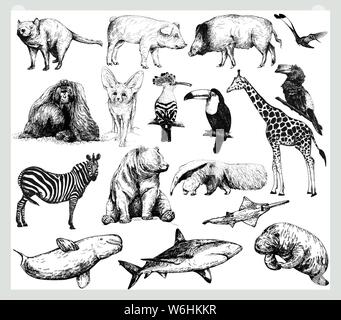 Großer Satz von Hand gezeichnete Skizze Stil wilder Tiere auf weißem Hintergrund. Vector Illustration. Stock Vektor