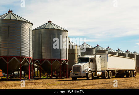 Ein Korn Lkw vor metallsilos während der Ernte geparkt; Rechtliche, Alberta, Kanada Stockfoto