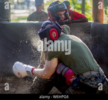 Us Marine Corps Rekruten mit Delta Firma, 1 Recruit Training Bataillon, Praxis die Grundlagen der Körper sparring bei Marine Corps Recruit Depot Parris Island, South Carolina, Juli 25, 2019, 25. Juli 2019. Körper sparring ist eine Übung, die die Grundlagen des Marine Corps Kampfkunst und Kräfte Rekruten ist beispielhaft für die körperliche und geistige Müdigkeit zu überwinden. (U.S. Marine Corps Foto von Lance Cpl. Dylan Walters). () Stockfoto