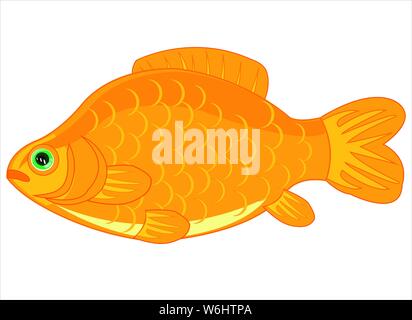 Fisch Karpfen auf weißem Hintergrund isoliert ist Stock Vektor