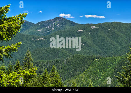 Oder: Douglas County, North Umpqua Valley in den Kaskaden Bereich in der Nähe von Cottage Grove. Blick auf die Berge des Calapooya Teilen Stockfoto