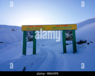 Kibber ist ein Dorf hoch in den Spiti Tal im Himalaya in Himachal Pradesh. Es enthält ein Kloster und die kibber Wildlife Sanctuary Stockfoto