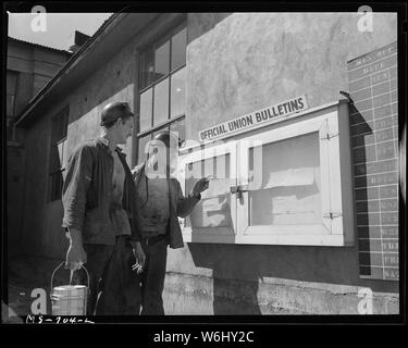 J. M. Hawkins (links) ehemalige Apotheker mate in der U.S. Navy und Wm. Smith, ehemaliger Marine, lesen Aushang an der Grube. Union Pacific Coal Company, Vertrauen, Vertrauen, Sweetwater County, Wyoming. Stockfoto