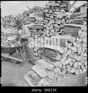 Jerome Relocation Center, Dermott, Arkansas. Umsiedler in der Jerome Relocation Center Ihre ow Hacken. . .; Umfang und Inhalt: Der vollständige Titel für dieses Foto liest: Jerome Relocation Center, Dermott, Arkansas. Umsiedler in der Jerome Relocation Center Ihre eigenen Wald in der Nähe der bewaldeten Bereiche hacken. Nachdem es aufgesägt und praktische Größe für Kaminöfen es neben jede Baracke angehäuft wird geteilt. Stockfoto