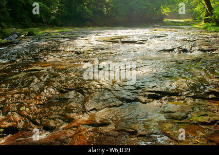 Frisches Grün Kikuchi Schlucht, Präfektur Kumamoto, Japan Stockfoto