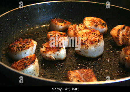 Gebratene gekochte Jakobsmuscheln mit Salz und Pfeffer würzen Stockfoto