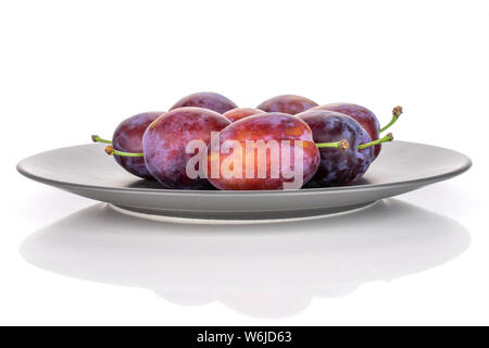 Menge ganze frische blaue Pflaume auf einem grauen Keramikplatte auf weißem Hintergrund Stockfoto