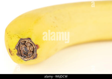 Eine ganze reife, gelbe Banane in Nahaufnahme auf weißem Hintergrund Stockfoto