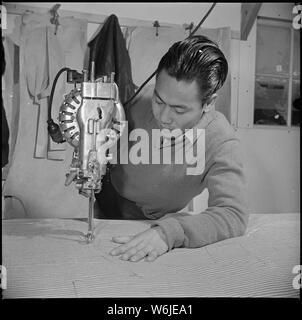 Manzanar Relocation Center, Manzanar, Kalifornien. Bert Miura, ehemalige Textilfabrik Arbeiter aus Lo. . .; Umfang und Inhalt: Der vollständige Titel für dieses Foto lautet: manzanar Relocation Center, Manzanar, Kalifornien. Bert Miura, ehemalige Textilfabrik Arbeiter aus Los Angeles, Kalifornien, ist jetzt in der Abteilung in der Textilfabrik. Er ist dargestellt schneiden Material für Matratze anheften. Alle Arbeiten in dieser Bekleidungsfabrik, die Arbeitskleidung für Umsiedler Arbeiter, ist japanisch-amerikanische Bewohner getan. Stockfoto