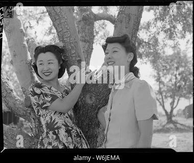 Manzanar Relocation Center, Manzanar, Kalifornien. Florenz Yamaguchi (links) und Kinu Hirashima, Bo. . .; Umfang und Inhalt: Der vollständige Titel für dieses Foto lautet: manzanar Relocation Center, Manzanar, Kalifornien. Florenz Yamaguchi (links) und Kinu Hirashima, beide aus Los Angeles, sind Bild, wie Sie unter einem Apfelbaum in Manzanar, einem Krieg Relocation Authority Center für Umsiedler von japanischen Vorfahren stand. Stockfoto