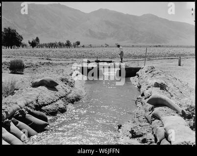 Manzanar Relocation Center, Manzanar, Kalifornien. Die Farm Projekt ist gut unterwegs Mit 125 Morgen. . .; Umfang und Inhalt: Der vollständige Titel für dieses Foto lautet: manzanar Relocation Center, Manzanar, Kalifornien. Die Farm Projekt ist gut unterwegs Mit 125 Morgen jetzt in Anbau an diesem Krieg Relocaton Behörde Zentrum für Umsiedler von japanischen Vorfahren. Ein Tor hat in den Kanal gebaut wurden, um Wasser zu übermitteln, die für die Bewässerung benötigt. Ein Feld von Mais kann im Hintergrund gesehen werden. Stockfoto