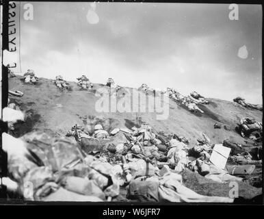 Marines der 5. Division" ihren Weg bis eine Steigung auf Roten Strand Nr. 1 in Richtung Surbachi Yama wie der Rauch der Schlacht Drifts über Sie. Iwo Jima, 19. Februar 1945.; Allgemeine Hinweise: Verwenden Sie Krieg und Konflikt Nummer 1217 bei der Bestellung eine Reproduktion oder Anforderung von Informationen zu diesem Bild. Stockfoto