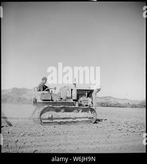 Monterey County, Kalifornien. Die ländliche Jugend. Mechanisierung; die landwirtschaftlichen Mitarbeiter. In der Nivellierung ein Feld, das die Raupe muss exakt gerade Linie gehalten am Rande der Titel bereits gemacht werden Stockfoto