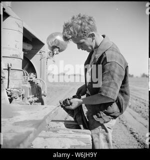 Monterey County, Kalifornien. Die ländliche Jugend. Mechanisierung; die landwirtschaftlichen Mitarbeiter. Prüfen Sie das Öl auf einem Caterpillar Tractor. Einer der wichtigsten Teile der Arbeit einen erfahrenen Fahrer ist die Wartung seiner Katze. Stockfoto