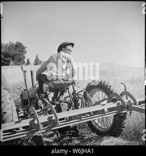 Monterey County, Kalifornien. Die ländliche Jugend. Mechanisierung; die landwirtschaftlichen Mitarbeiter. Dieser junge Mann ist so geschickt in der landwirtschaftlichen Maschinen, die mehrere Betriebe Angebot für seine Dienstleistungen Stockfoto