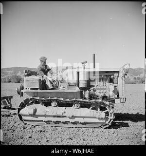 Monterey County, Kalifornien. Die ländliche Jugend. Mechanisierung; die landwirtschaftlichen Mitarbeiter. Nivellierung ein Feld mit einem Caterpillar Diesel 35 Stockfoto