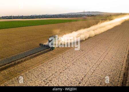 Luftaufnahme, Mähdrescher, der in der Abendsonne in einem trockenen Bereich mit viel Staub, Wetterau, Hessen, Deutschland Stockfoto