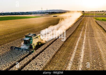 Luftaufnahme, Mähdrescher, der in der Abendsonne in einem trockenen Bereich mit viel Staub, Wetterau, Hessen, Deutschland Stockfoto