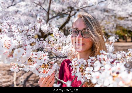 Porträt, junge Frau zwischen blühenden Kirschblüten, japanische Kirschblüte im Frühling, Tokio, Japan Stockfoto