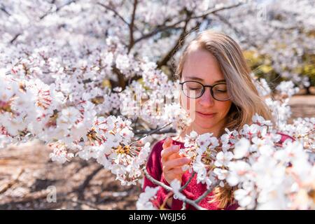Porträt, junge Frau zwischen blühenden Kirschblüten, japanische Kirschblüte im Frühling, Tokio, Japan Stockfoto