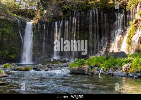 Shiraito Wasserfall, Fuji-Hakone-Izu Nationalpark, Yamanashi Präfektur, Japan Stockfoto