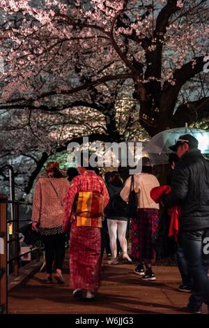 Japanerin mit Kimono unter blühenden Kirschbaum Schaumstoffe in der Nacht, japanische Kirschblüte im Frühling, Hanami Fest, Chidorigafuchi Grüner Weg, Tokio Stockfoto