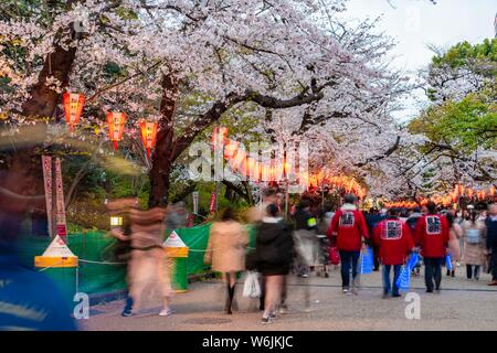 Menge unter leuchtende Laternen in blühende Kirschbäume an Hanami Festival im Frühjahr, Ueno Park, Tokio, Japan Stockfoto