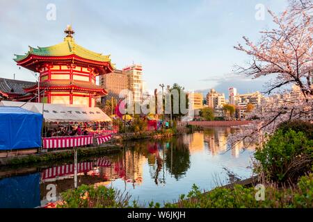 Kirschblüten am Teich Shinobazu, Hanami Festival auf Bentendo Shinobazunoike Tempel, Ueno Park, Tokio, Japan Stockfoto