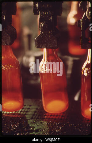 Neue BIERFLASCHEN auf der MONTAGELINIE NACH GEPRÄGT VON ALTEN GLAS. COLUMBINE GLASS COMPANY Stockfoto