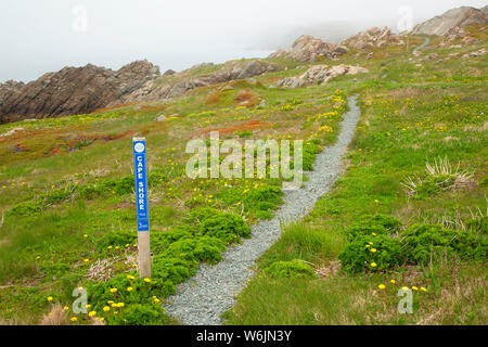 Cape Shore Trail, John Cabot städtischen Park, Bonavista, Neufundland und Labrador, Kanada Stockfoto