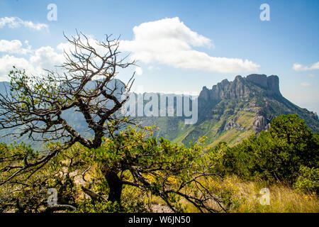 Landschaftsfotografie im Big Bend National Park in Texas. Stockfoto