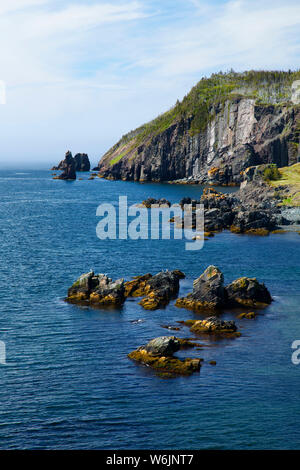 Coast View, Fort Point Militärgelände, Trinity, Neufundland und Labrador, Kanada Stockfoto