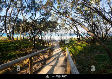 Zugang zu Sunrise Beach, Noosa, Sunshine Coast, Queensland, Queensland, Australien Stockfoto