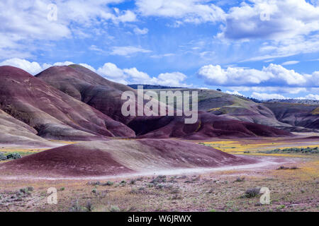 Des Oregon Painted Hills ist eine der drei Einheiten der John Day Fossil Beds National Monument, im Wheeler County, Oregon. Es Gesamt 3,132 acr Stockfoto