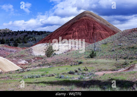 Des Oregon Painted Hills ist eine der drei Einheiten der John Day Fossil Beds National Monument, im Wheeler County, Oregon. Es Gesamt 3,132 acr Stockfoto