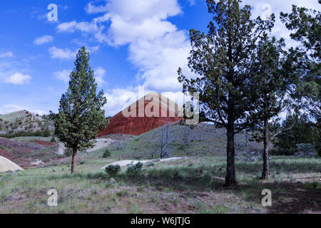 Des Oregon Painted Hills ist eine der drei Einheiten der John Day Fossil Beds National Monument, im Wheeler County, Oregon. Es Gesamt 3,132 acr Stockfoto