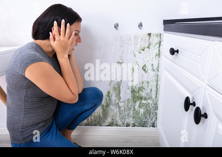 Seitenansicht einer jungen Frau auf der Suche nach Schimmel an der Wand Stockfoto