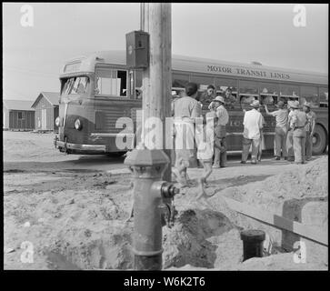 Poston, Arizona. Ankunft der Umsiedler von japanischen Vorfahren an diesem Krieg Relocation Authority center. Stockfoto