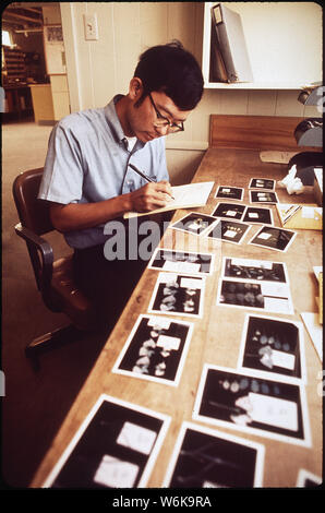 RON OSHIMA, Kalifornien, Abteilung Landwirtschaft, ARBEITEN MIT FOTOS DER BESCHÄDIGTEN ANLAGEN AN DER LANDESWEITEN LUFTVERSCHMUTZUNG RESEARCH CENTER Stockfoto