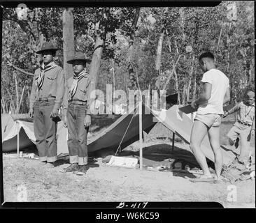Rohwer Relocation Center, McGehee, Arkansas. Eine 5-tägige Boy Scout Camp am Ufer des Mississippi. . .; Umfang und Inhalt: Der vollständige Titel für dieses Foto lautet: Rohwer Relocation Center, McGehee, Arkansas. Eine 5-tägige Boy Scout Camp am Ufer des Mississippi River war aus fast hundert Jungen aus dem Rohwer Center, ein paar weniger von Jerome Center, zusammen mit einer kleinen Truppe aus der nahe gelegenen Stadt von Arkansas City. Stockfoto