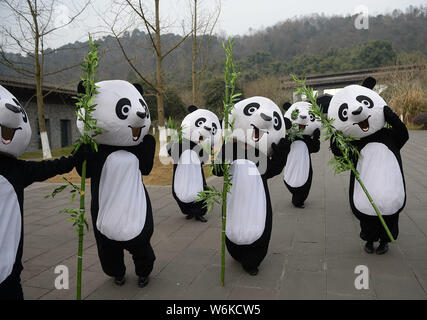 Chinesische Zuführungen in Panda Kostümen Abschied das Paar Riesenpandas, Jin Bao Bao und Hua Bao, nach Finnland an der Dujiangyan base gesendet werden Stockfoto