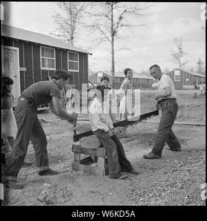 Rohwer Relocation Center, McGehee, Arkansas. Die Bewohner dieses Zentrums sind die Plaketten aus einer Gr. . .; Umfang und Inhalt: Der vollständige Titel für dieses Foto lautet: Rohwer Relocation Center, McGehee, Arkansas. Die Bewohner dieses Zentrums sind die Plaketten von einer grünen Eiche für ein Ölgemälde anmelden. Stockfoto