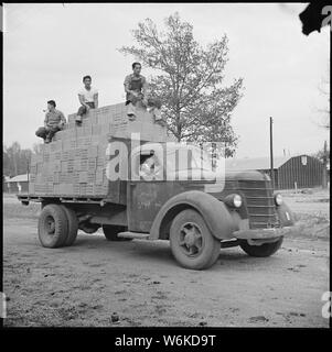 Rohwer Relocation Center, McGehee, Arkansas. Ehrenamtliche Mitarbeiter den Transport von Lieferungen von einem railsid. . .; Umfang und Inhalt: Der vollständige Titel für dieses Foto lautet: Rohwer Relocation Center, McGehee, Arkansas. Ehrenamtliche Mitarbeiter den Transport von Lieferungen von einem railsiding in die Lager in der Mitte vom Fahrzeug. Stockfoto