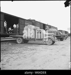 Rohwer Relocation Center, McGehee, Arkansas. Ehrenamtliche Mitarbeiter laden ein Fahrzeug aus einem Frachtwaggon für Tr. . .; Umfang und Inhalt: Der vollständige Titel für dieses Foto lautet: Rohwer Relocation Center, McGehee, Arkansas. Ehrenamtliche Mitarbeiter laden ein Fahrzeug aus einem Frachtwaggon für den Transport in das Lager in diesem Zentrum. Stockfoto
