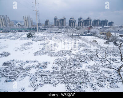 Luftaufnahme von Fahrrädern chinesischen Bike-sharing Diensten Mobike, ofo und Xiaoming Danche oder Xiaoming Fahrrad durch Schnee auf einem Parkplatz in Shangha Stockfoto